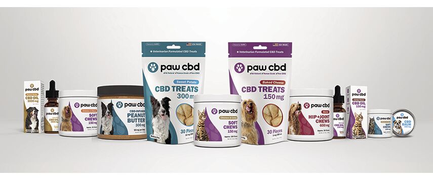 A Rising Star in CBD